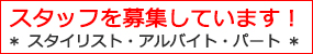 スタッフ募集中！
