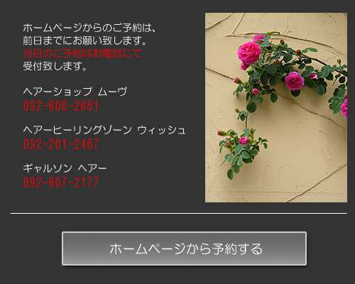 �ۡ���ڡ��������ͽ��������ޤǤˤ��ꤤ���ޤ���